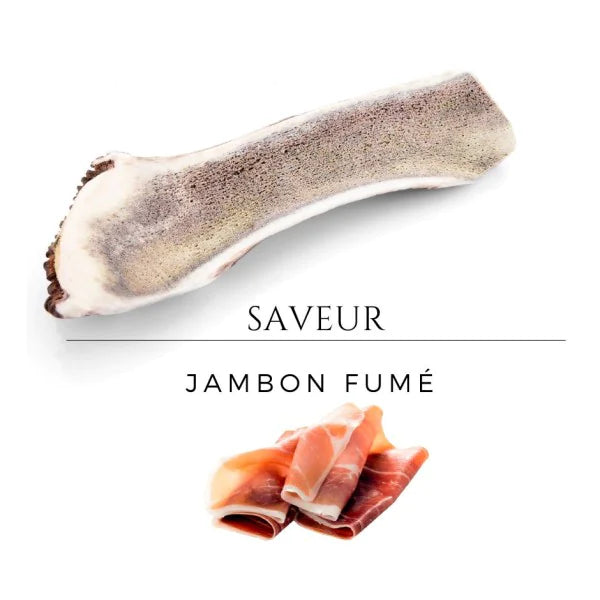 Bois de cerf Jambon fumé Taille XL - L endroit par Fée