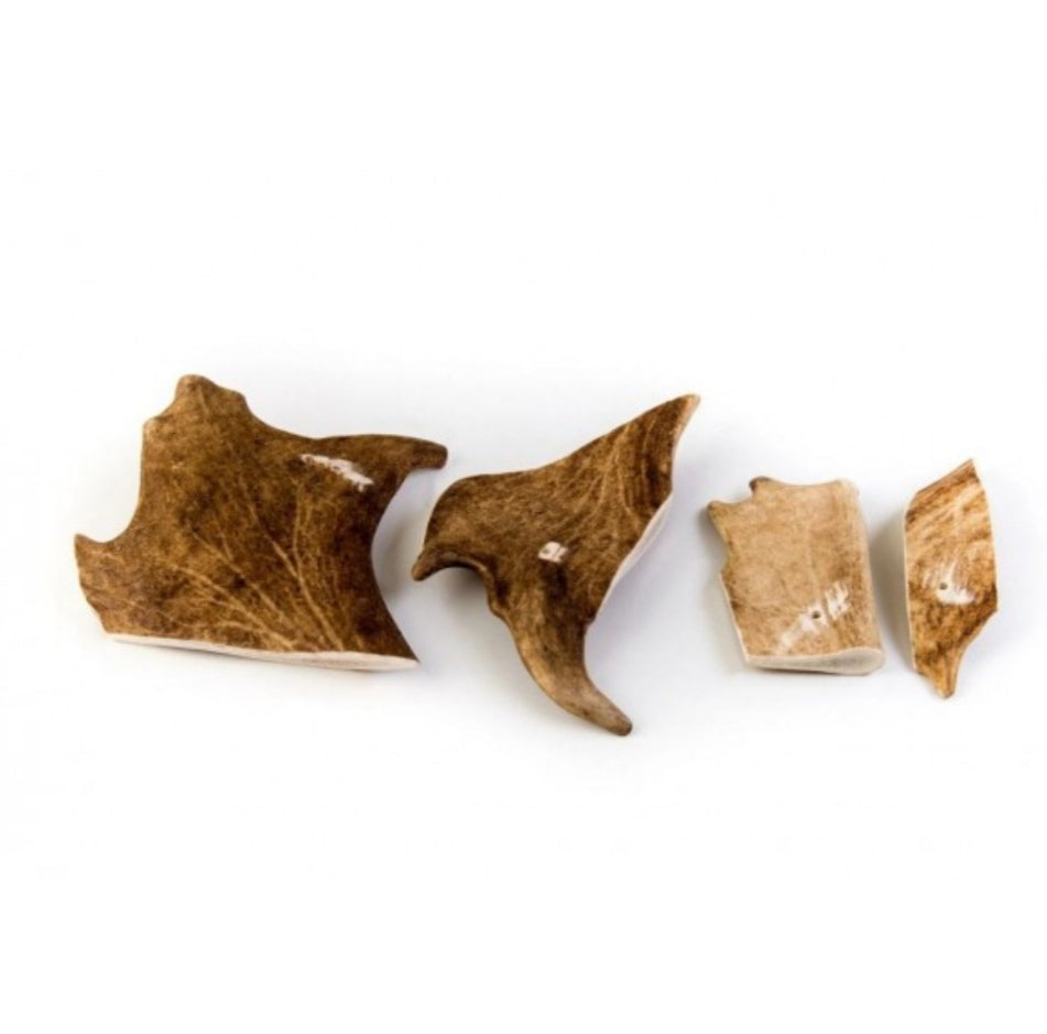 Bois de daim taille M - L endroit par Fée
