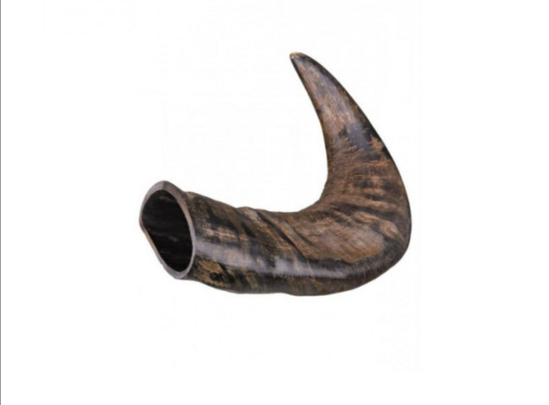 Corne de buffle Taille L - L endroit par Fée