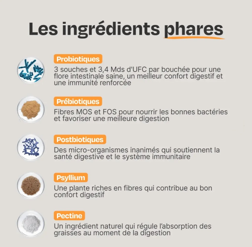 Complément probiotiques 3 pots - L endroit par Fée