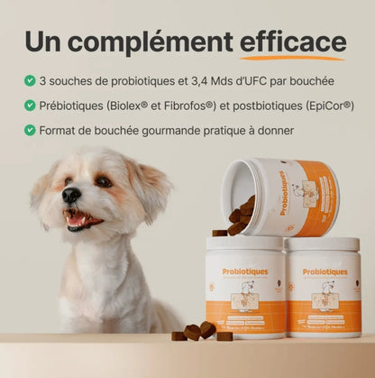 Complément probiotiques 3 pots - L endroit par Fée