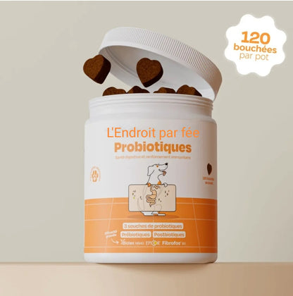 Complément probiotiques 3 pots - L endroit par Fée