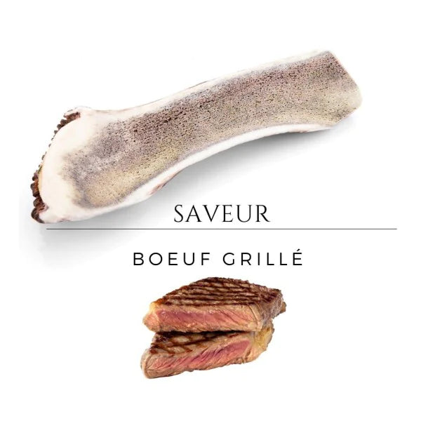 Bois de cerf Boeuf grillé Taille M - L endroit par Fée