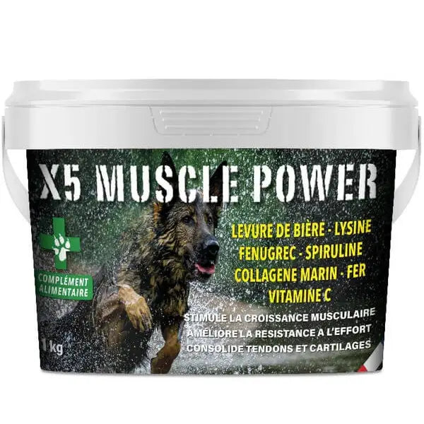 X5 Muscle Power 500gr - L endroit par Fée