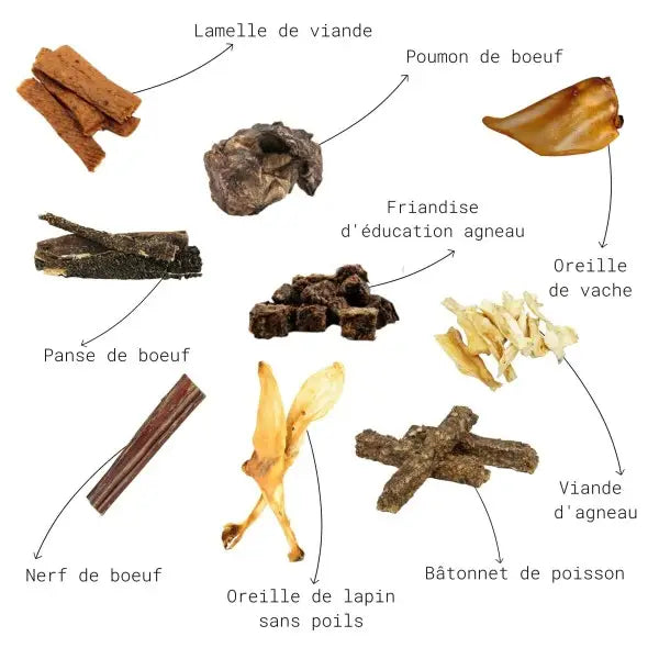 Pack friandises séchées Chiot - L endroit par Fée