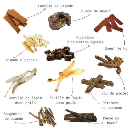 Pack friandises séchées Mastication sans effort - L endroit par Fée