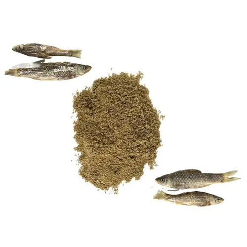 Poudre de poisson d'eau douce 150gr - L endroit par Fée